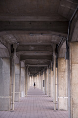 snap0313_007
