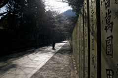 snap0319_014