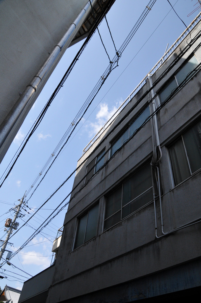 snap0317_008