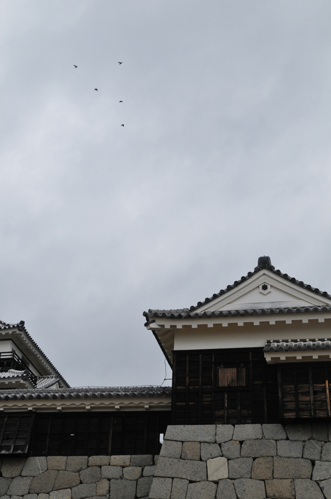 snap0318_008