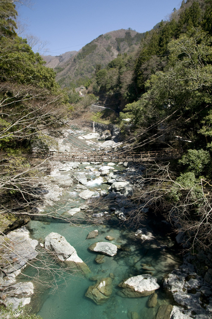 snap0319_005
