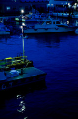 snap0313_012
