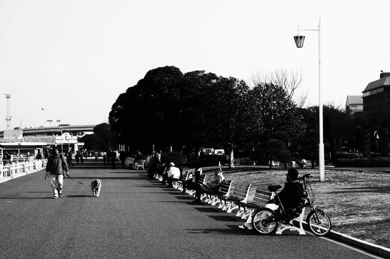 snap0219_005