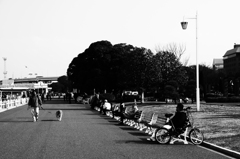 snap0219_005