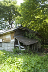 gxr008