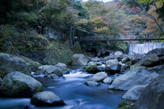 gorakoyo022
