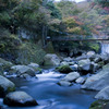 gorakoyo022