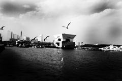snap0219_008