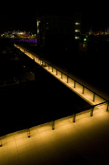 snap0313_020
