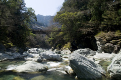 snap0319_007