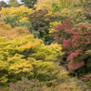 gorakoyo012