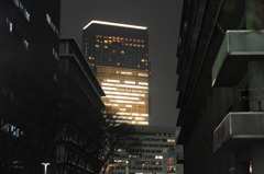 IMGP7610