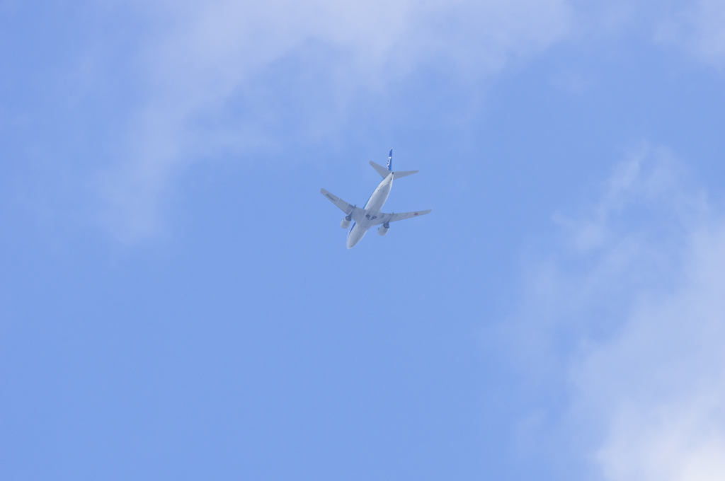 737