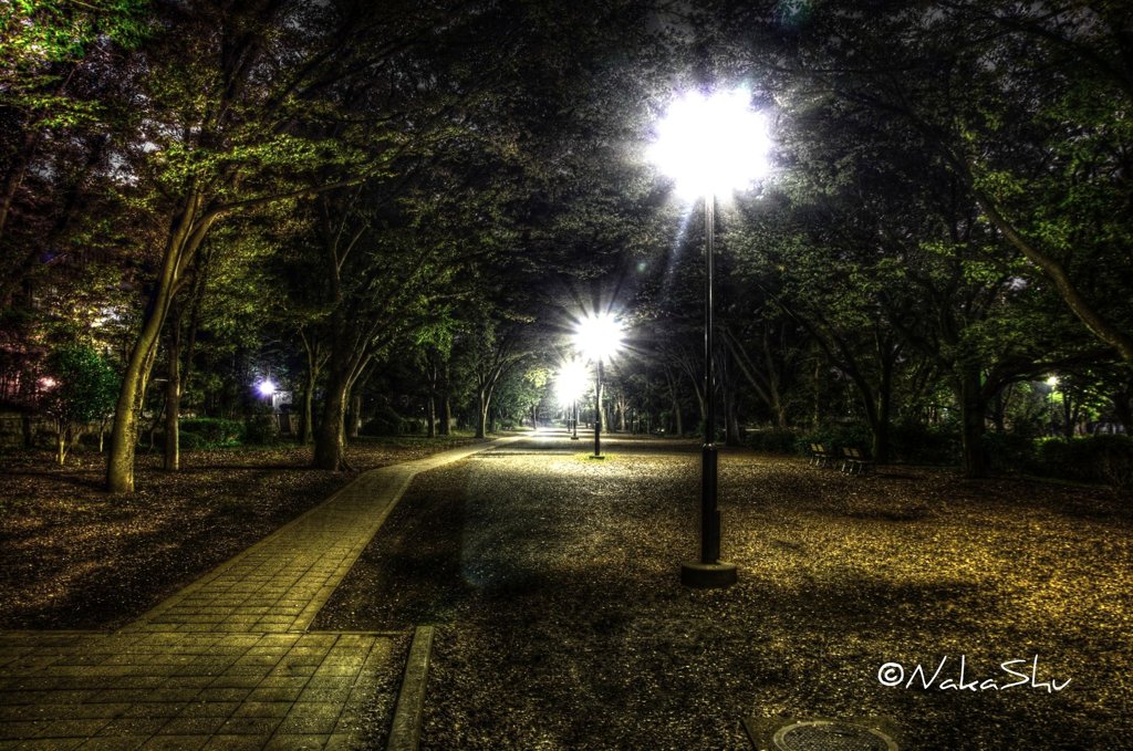 井の頭公園