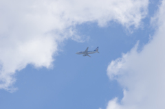 B737 JA8195
