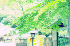 からくに神社2
