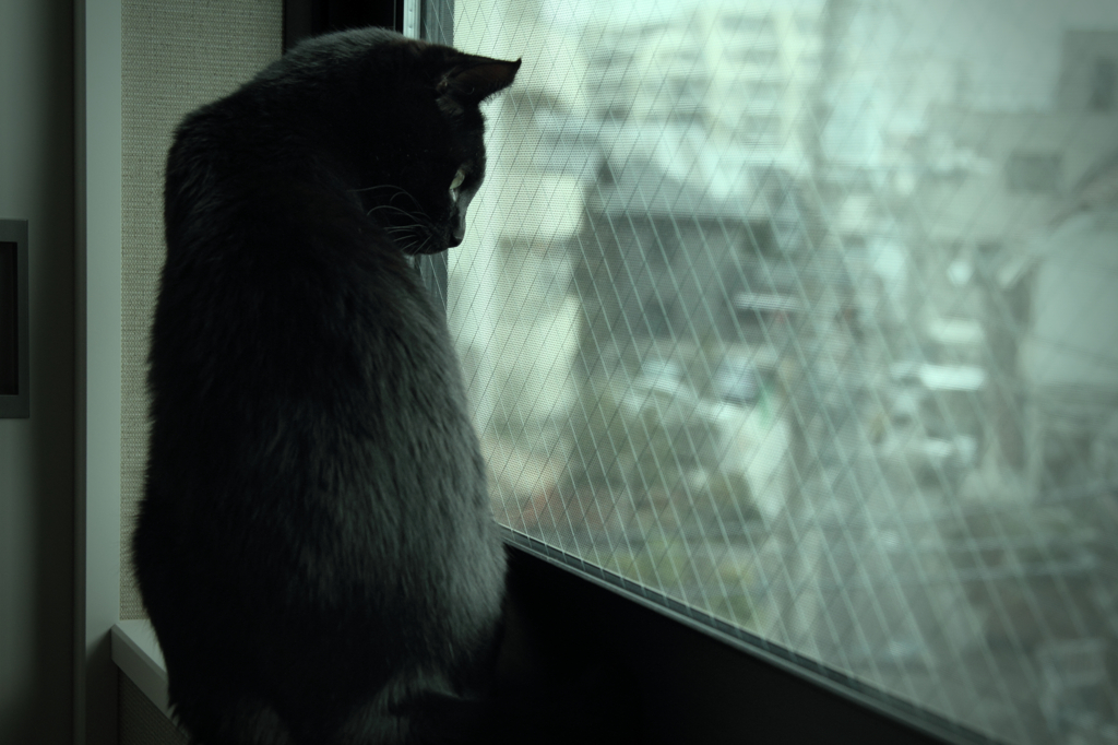 見つめる先には・・・1