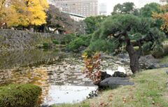 日比谷公園２