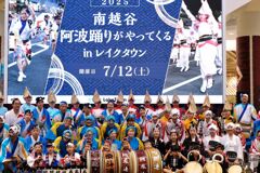 阿波踊り２m