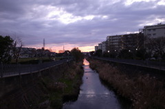 一日がはじまるよ