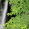 高千穂峡谷