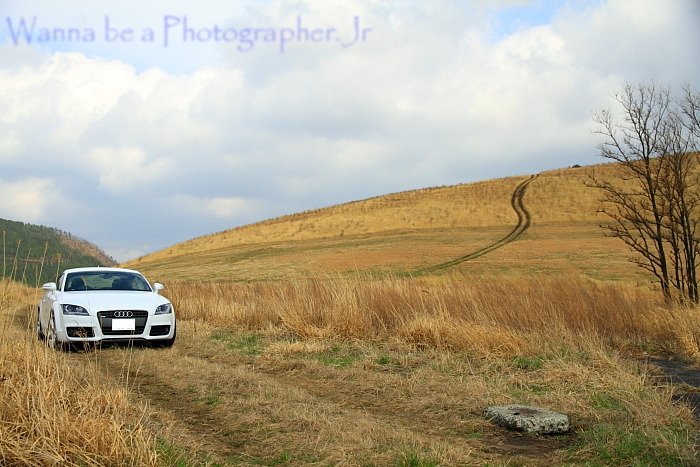 草原とAudi