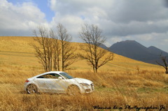 高原のアスリート