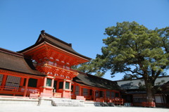 大分県　宇佐神宮の本殿