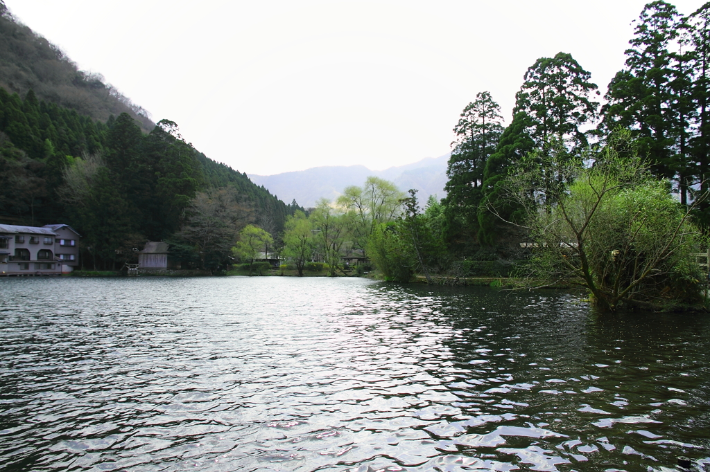 金鱗湖