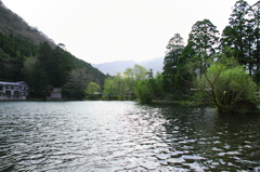 金鱗湖 金鱗湖