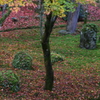 光明禅寺石庭