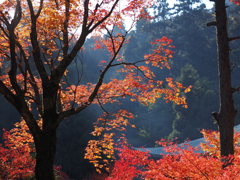 西山興隆寺6