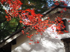 西山興隆寺2.