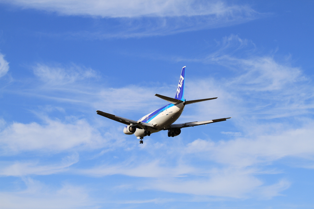 FUKUOKA AIRPORT in autumn