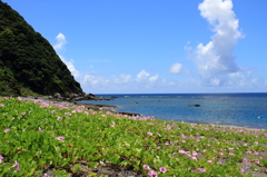 Sea and Sky and Green