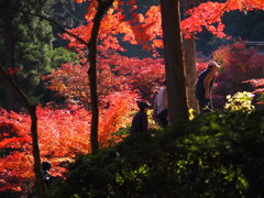 西山興隆寺4