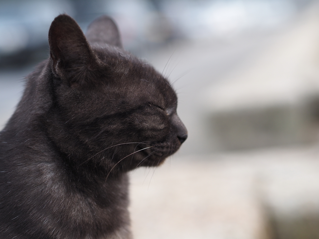 波乗りジョニーの横顔