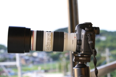 5D Mark Ⅱ×　Lレンズ　　