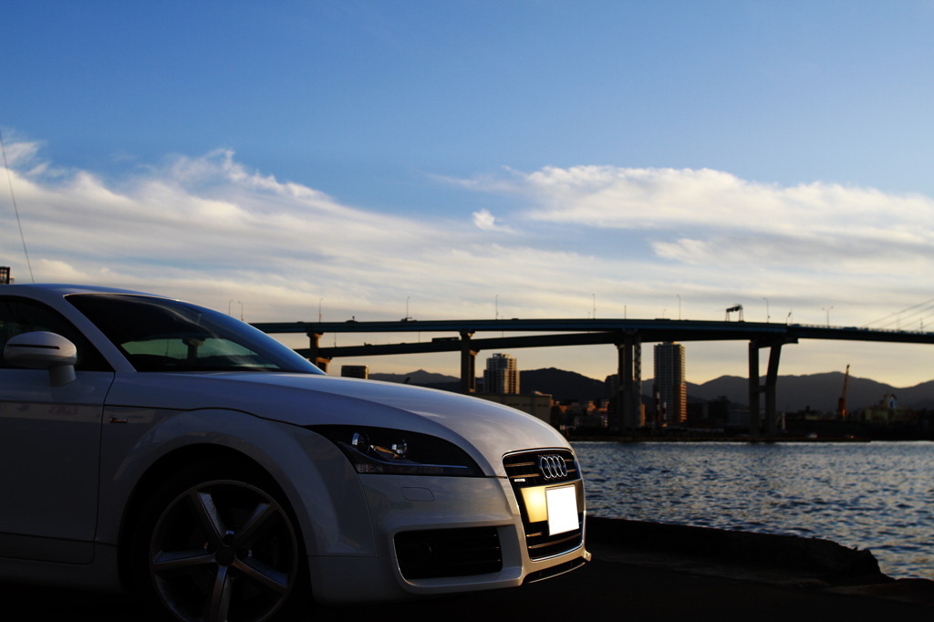 Audi TT in autumn