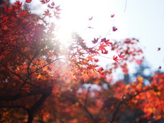 西山興隆寺5