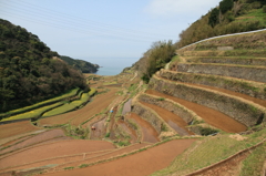 浜の浦の棚田