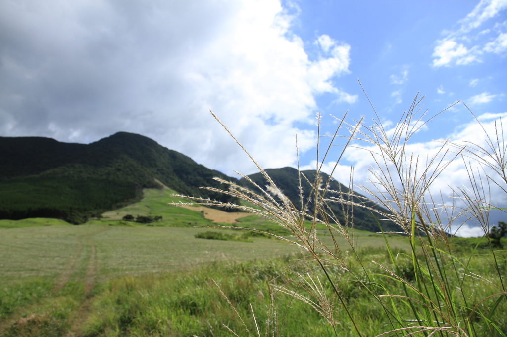 tukahara2