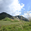 tukahara2