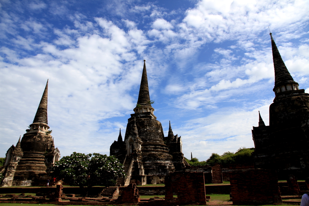 the world heritage