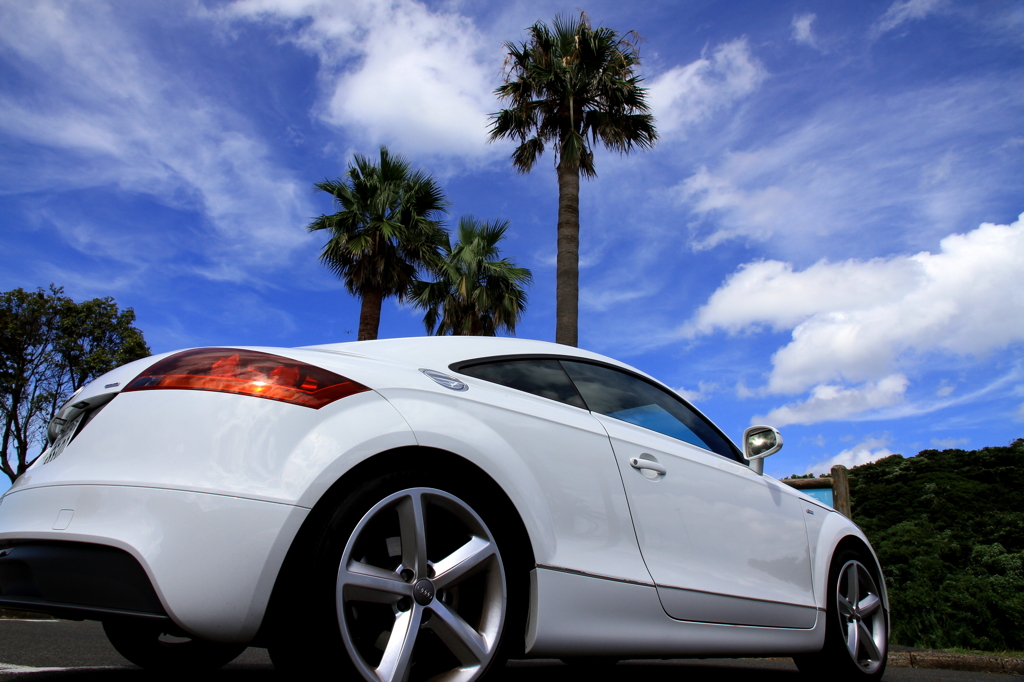 ＳＯＲＡ＆Ａｕｄｉ