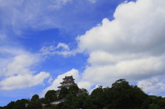 ＫＡＲＡＴＳＵ　ＣＡＳＴＬＥ