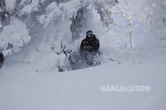 木の横を