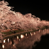 sakura in Hirosaki
