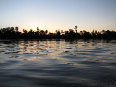 IMG_0060