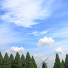 夏模様